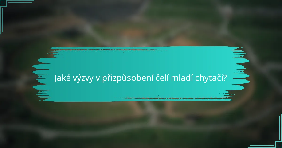 Jaké výzvy v přizpůsobení čelí mladí chytači?